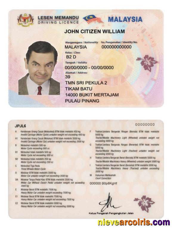 Malaysia driving license